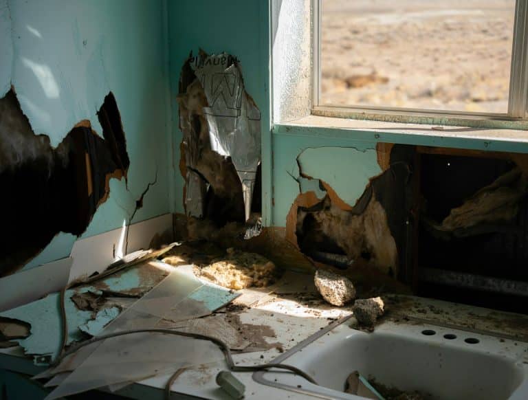 How Fast Mold Can Spread After Water Damage