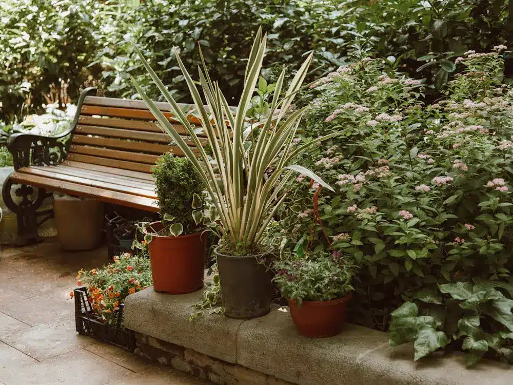 Wooden bench beside potted plants and flowers in lush garden setting