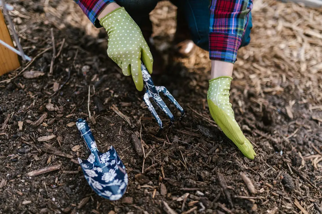 Gardener wearing green gloves using garden fork in soil with blue floral trowel nearby