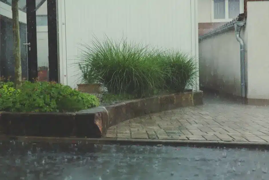 Rain falling on stone-paved walkway beside green shrubs outside a building