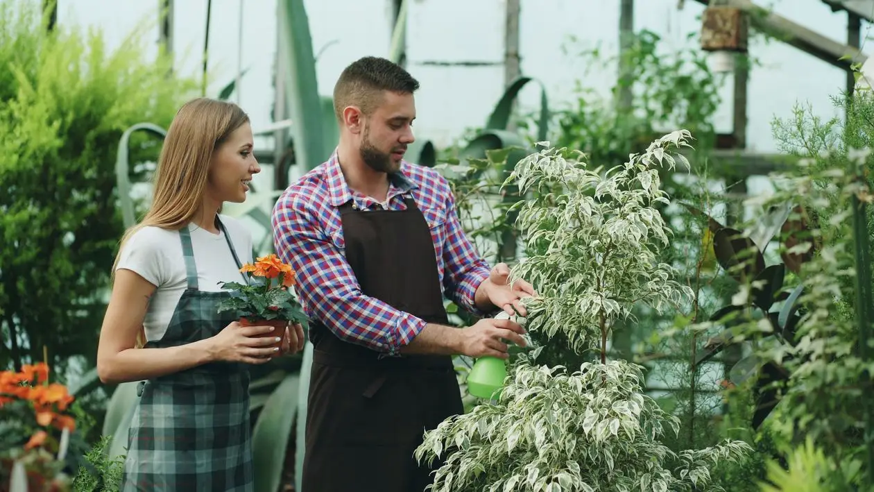 Gardener pruning plant while woman holds potted flowers in greenhouse setting