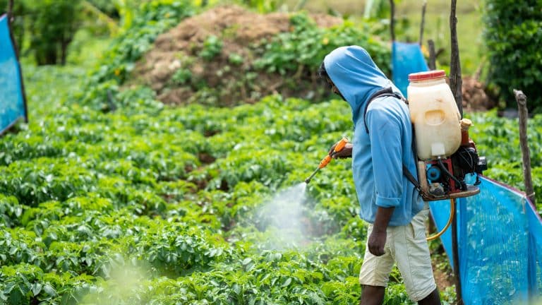 The Fertilizer Number Gardeners Skip: What the K in NPK Actually Does