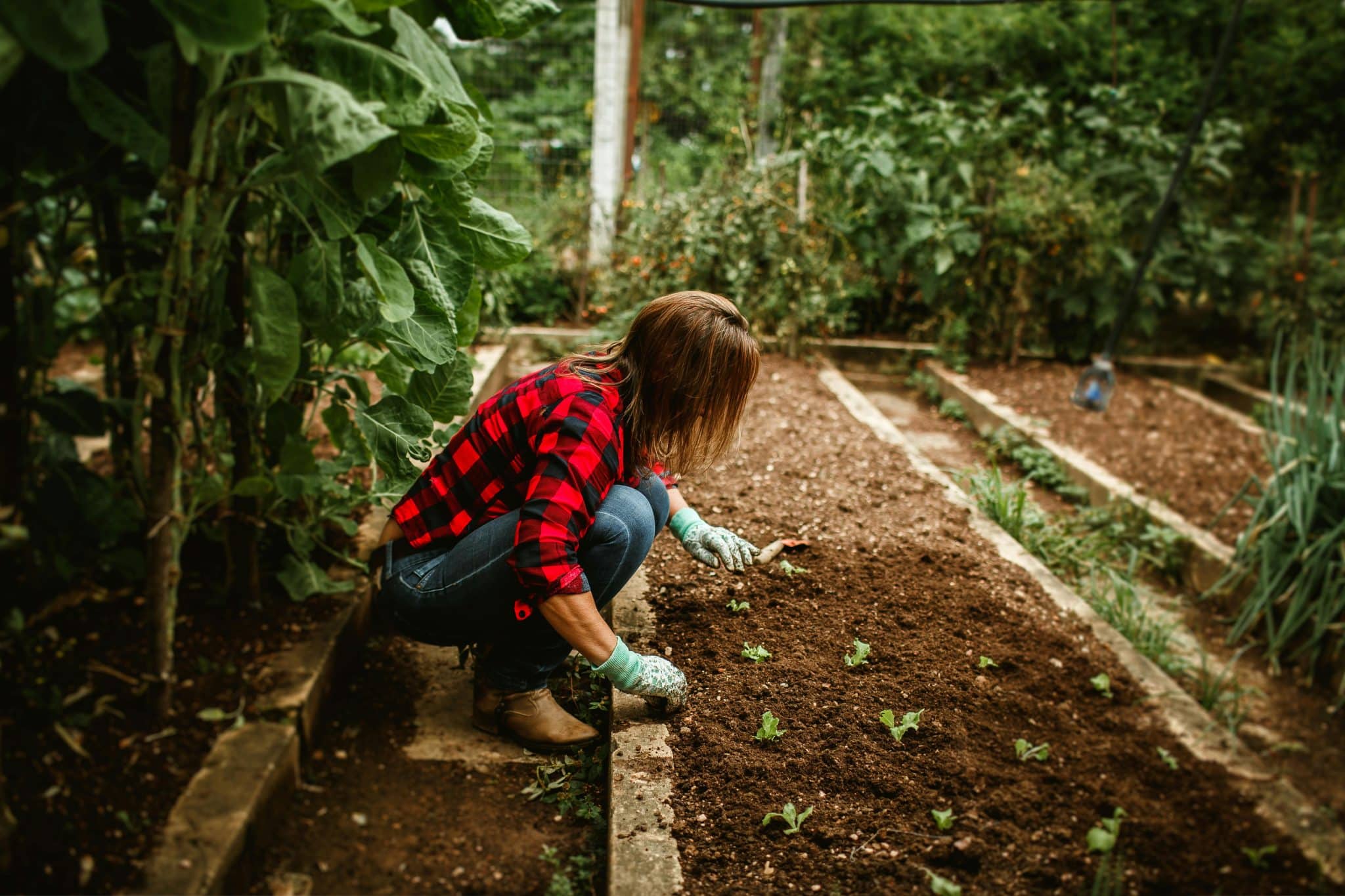 Just Moved? Here’s Why Your New Backyard Is the Best Garden You’ve Never Planted