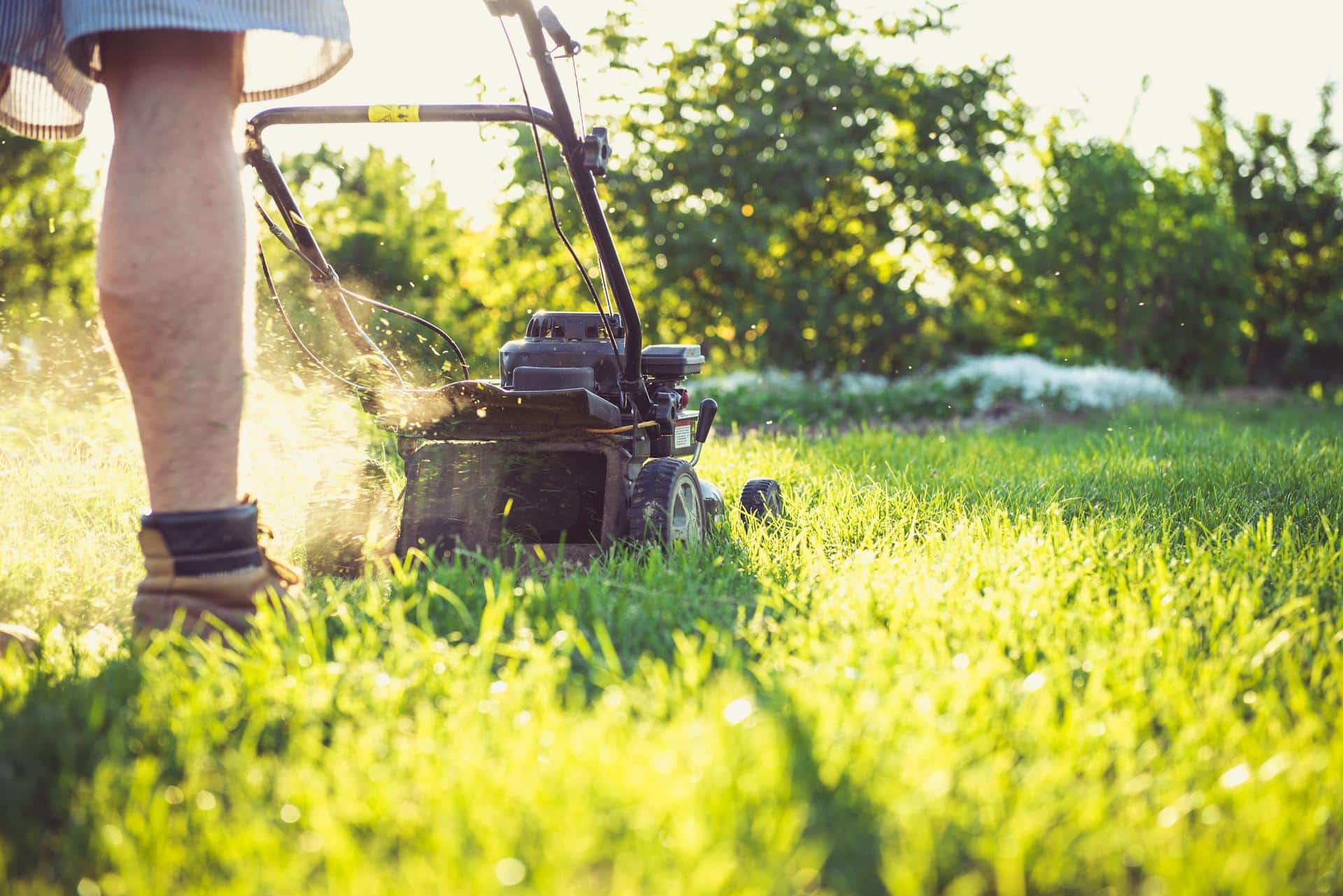 Understanding Lawnmower Blade Compatibility