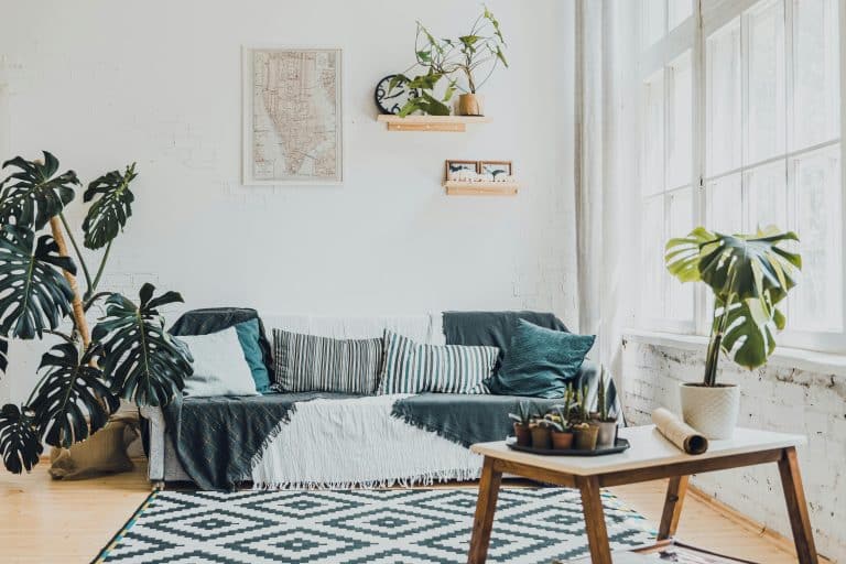 The Design Trends Millennials Already Want Out of Their Homes