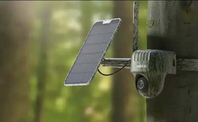 Solar-powered security camera mounted on tree in forest setting