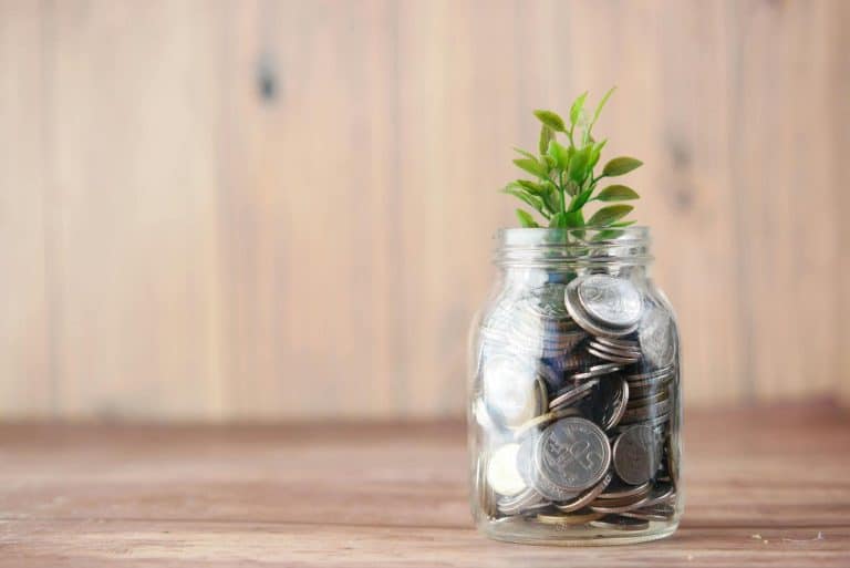 Growing on a Budget: What Balcony Gardening Teaches About Managing Money