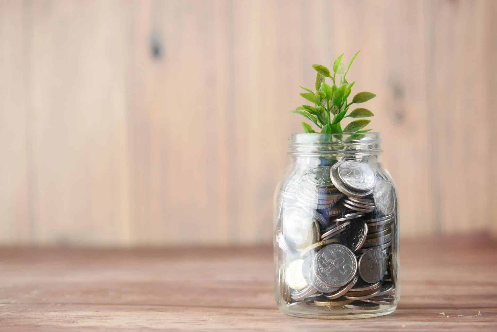 Growing on a Budget: What Balcony Gardening Teaches About Managing Money