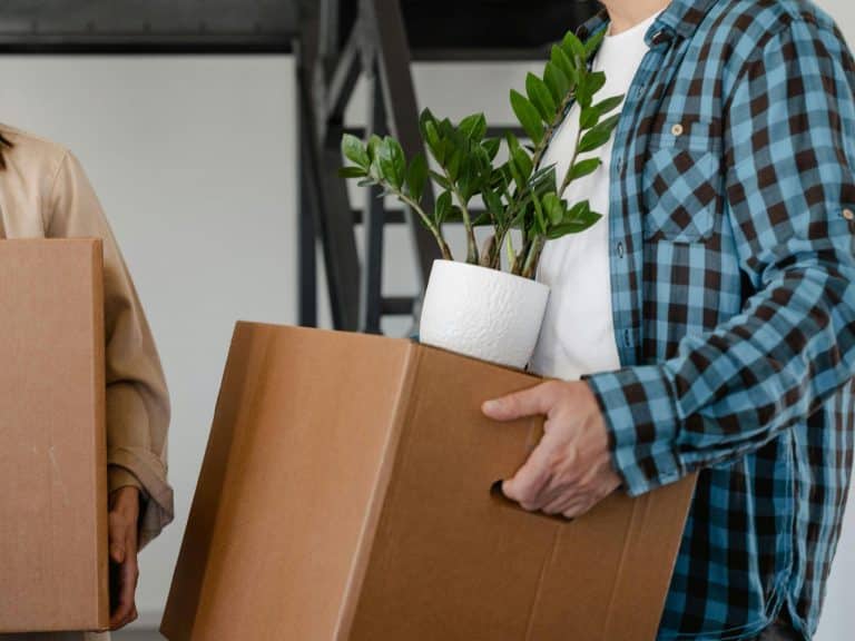 What Plant Lovers Should Know Before Relocating