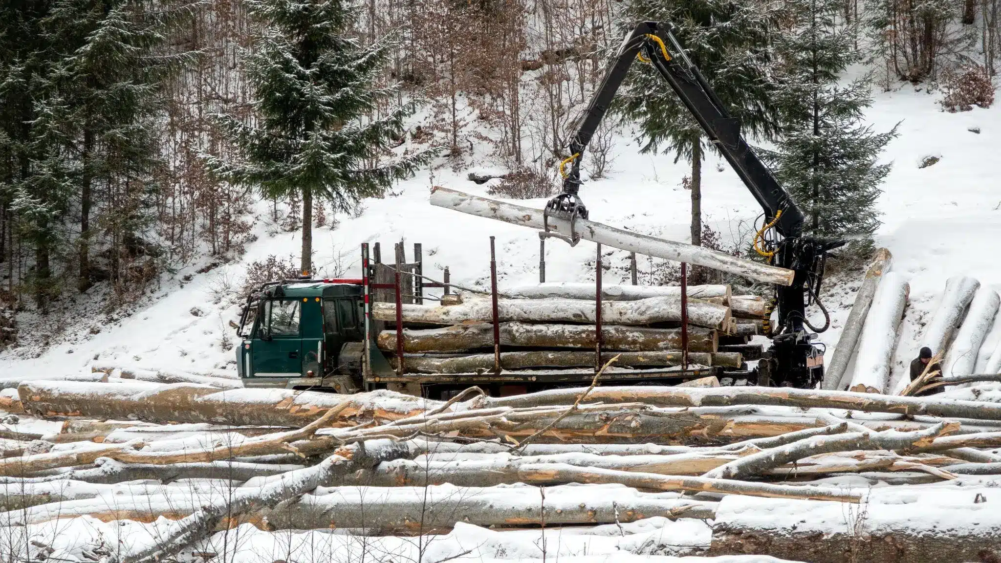 Logging truck being loaded with snow-covered logs in a snowy forest setting