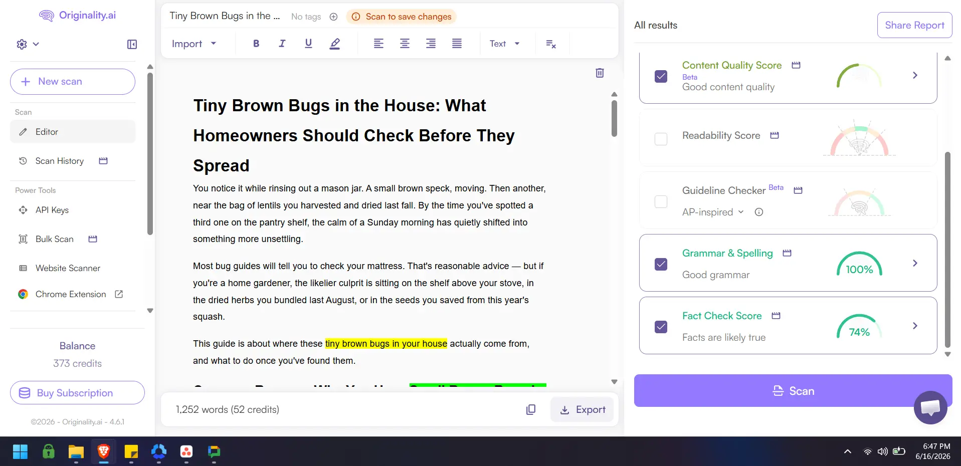 Computer screen displaying text about tiny brown bugs and content analysis tools showing scores