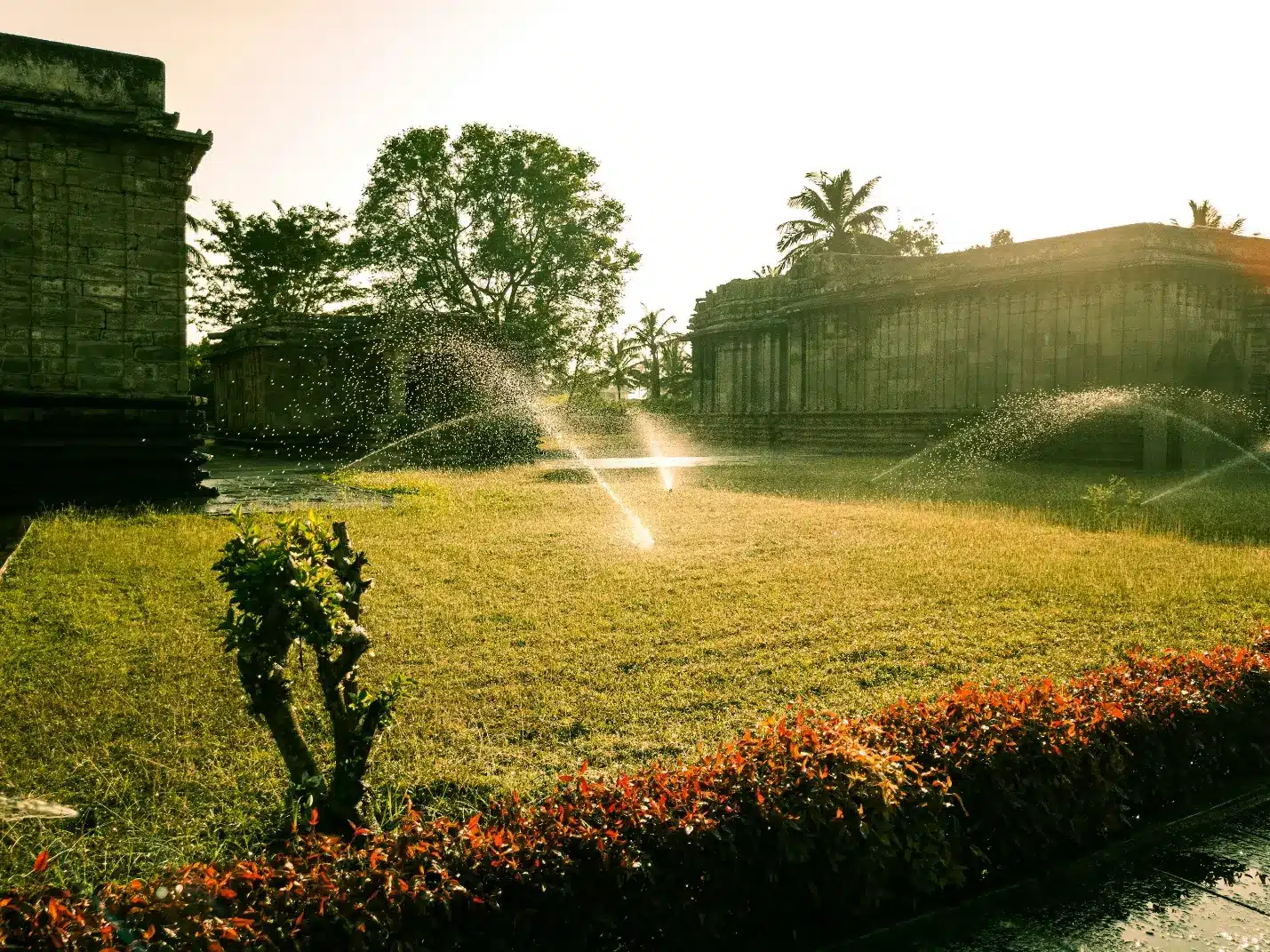 Sprinklers watering lush green lawn near ancient stone buildings under warm sunlight