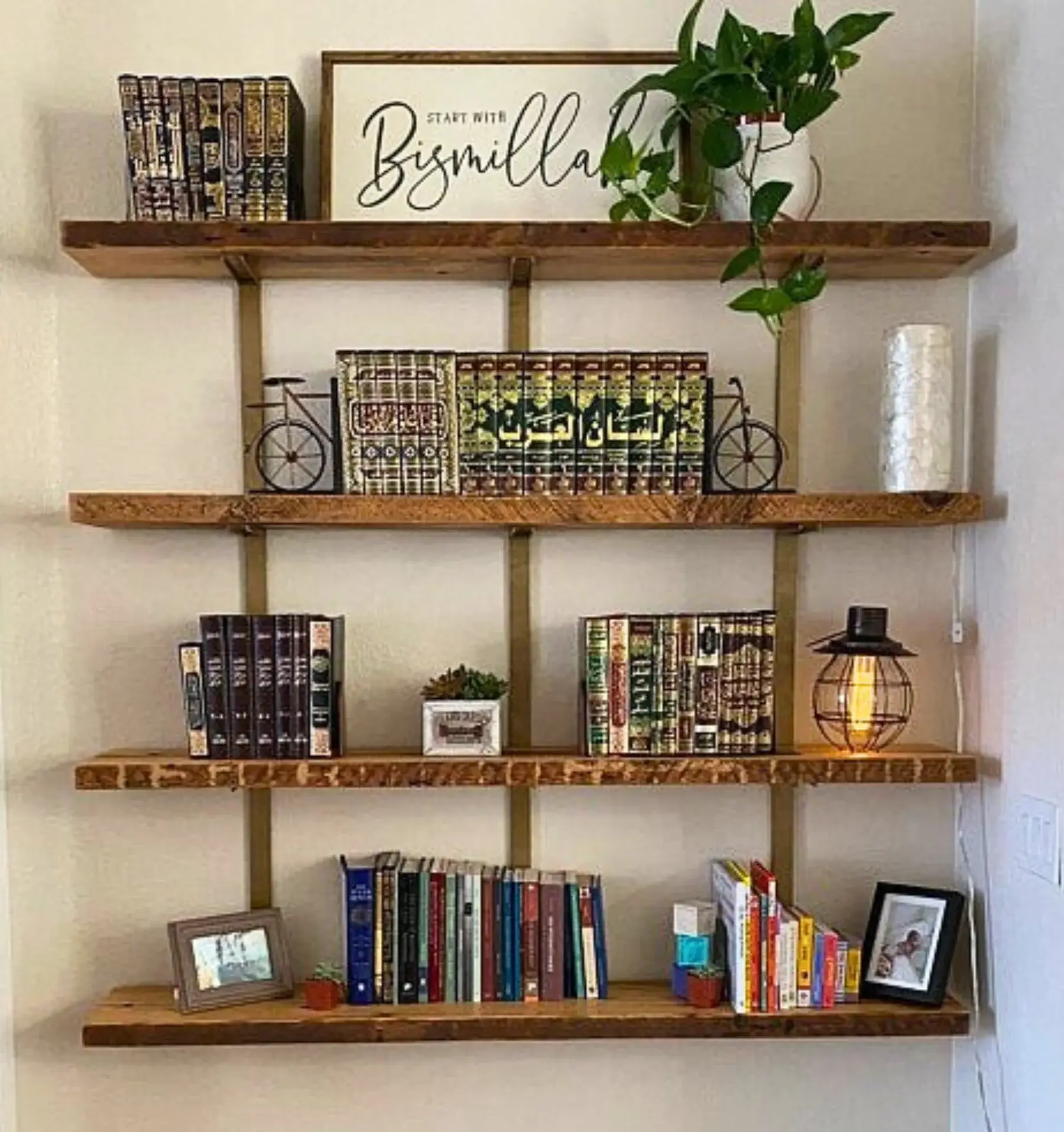 Wooden wall shelves with books, bicycle decor, and green plant in a cozy corner setting