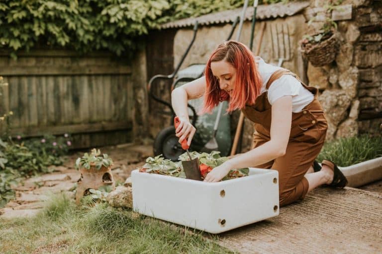 Moving to a New Home? Here's How to Plan Your Garden From Day One