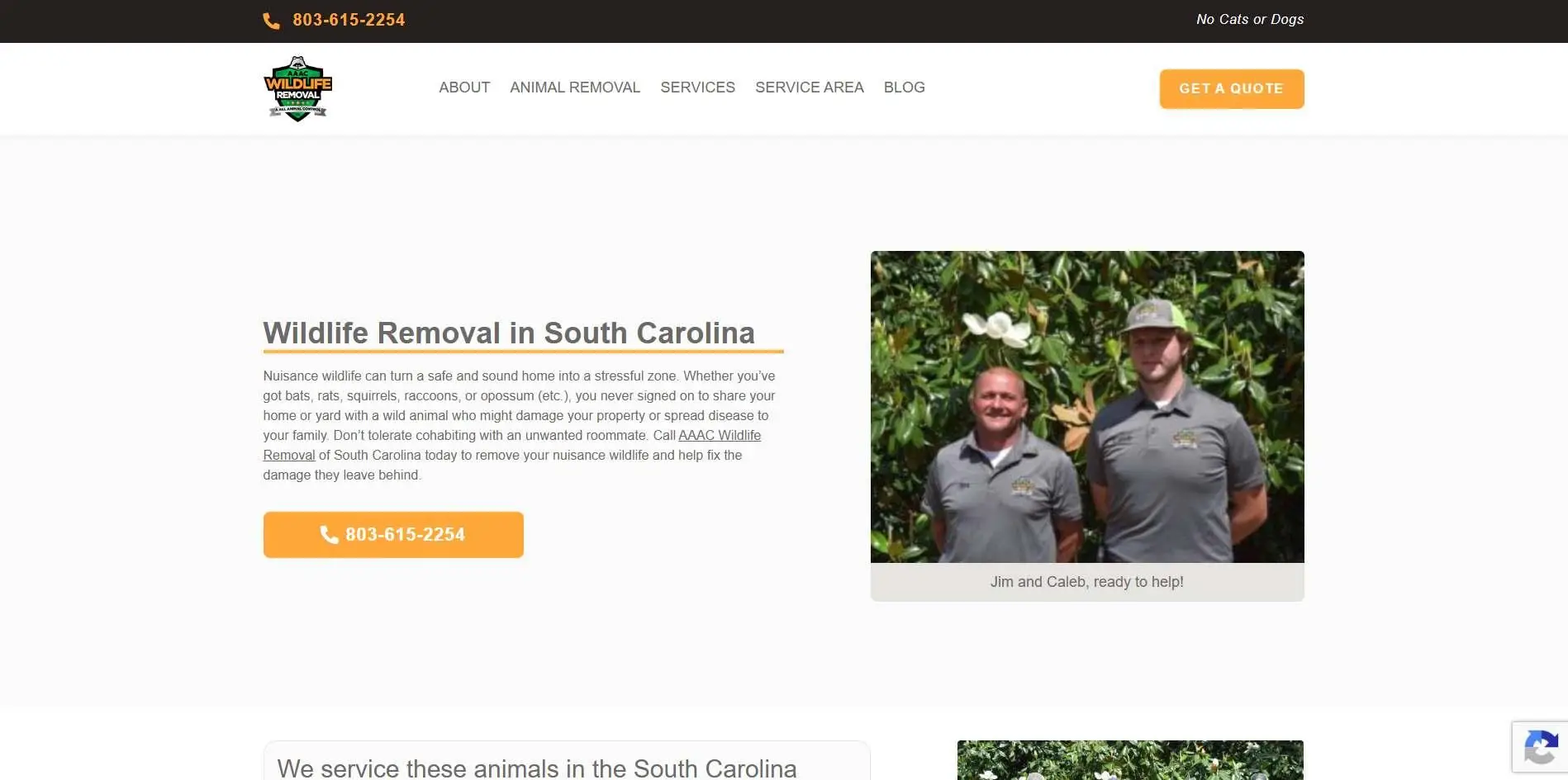 Two men in matching gray polo shirts standing outdoors in front of leafy green foliage
