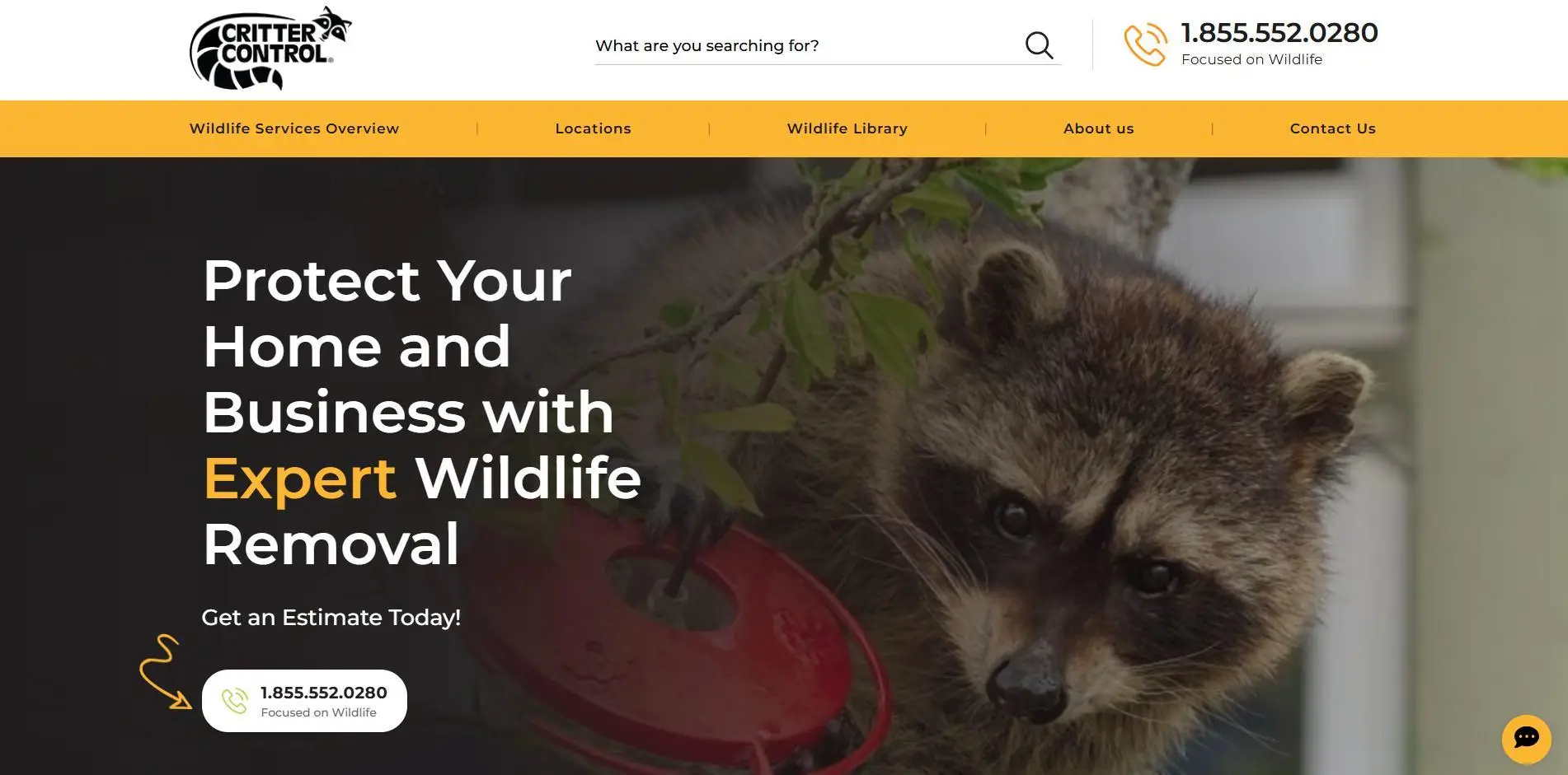 Raccoon inspecting red bird feeder among green branches in outdoor setting