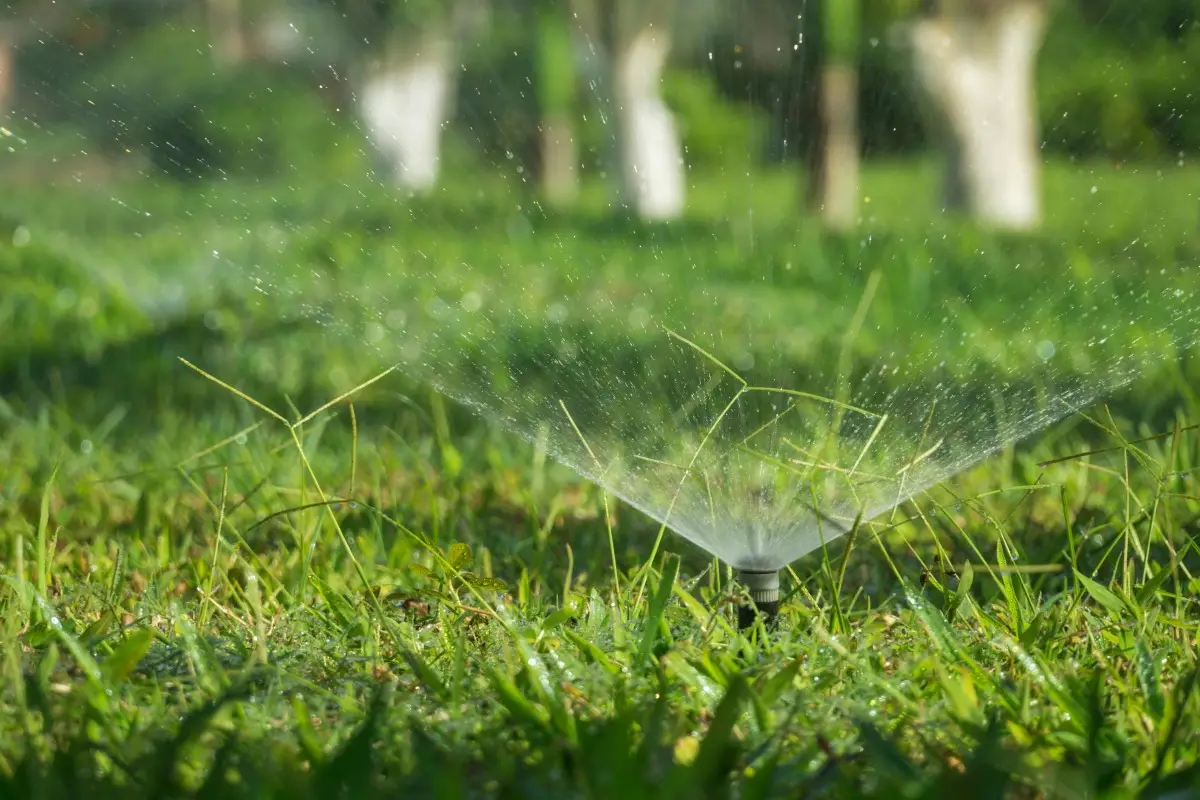Lawn sprinkler watering green grass in sunny outdoor garden setting