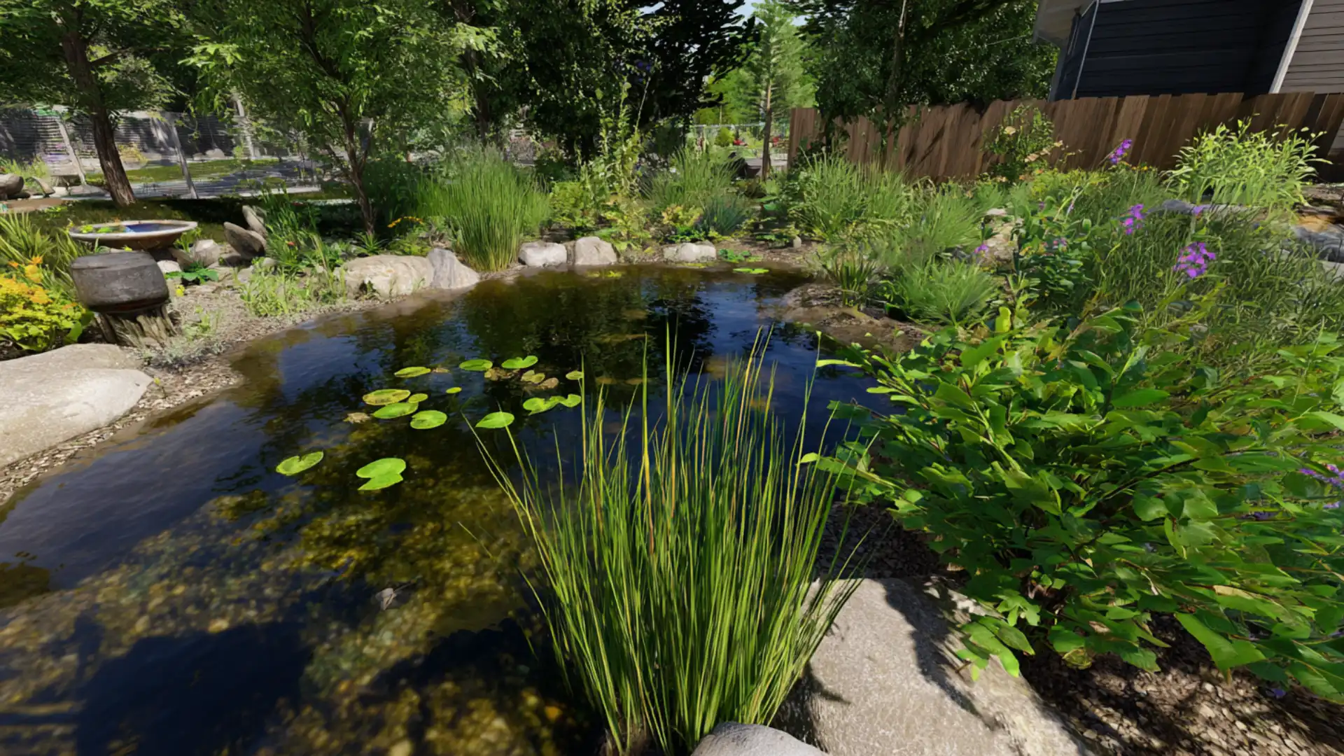 backyard wildlife pond with lily pads reeds and native plants attracting dragonflies.