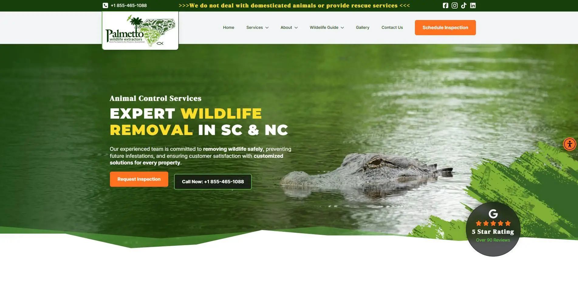 Alligator swimming in a calm green river near bold text about wildlife removal services