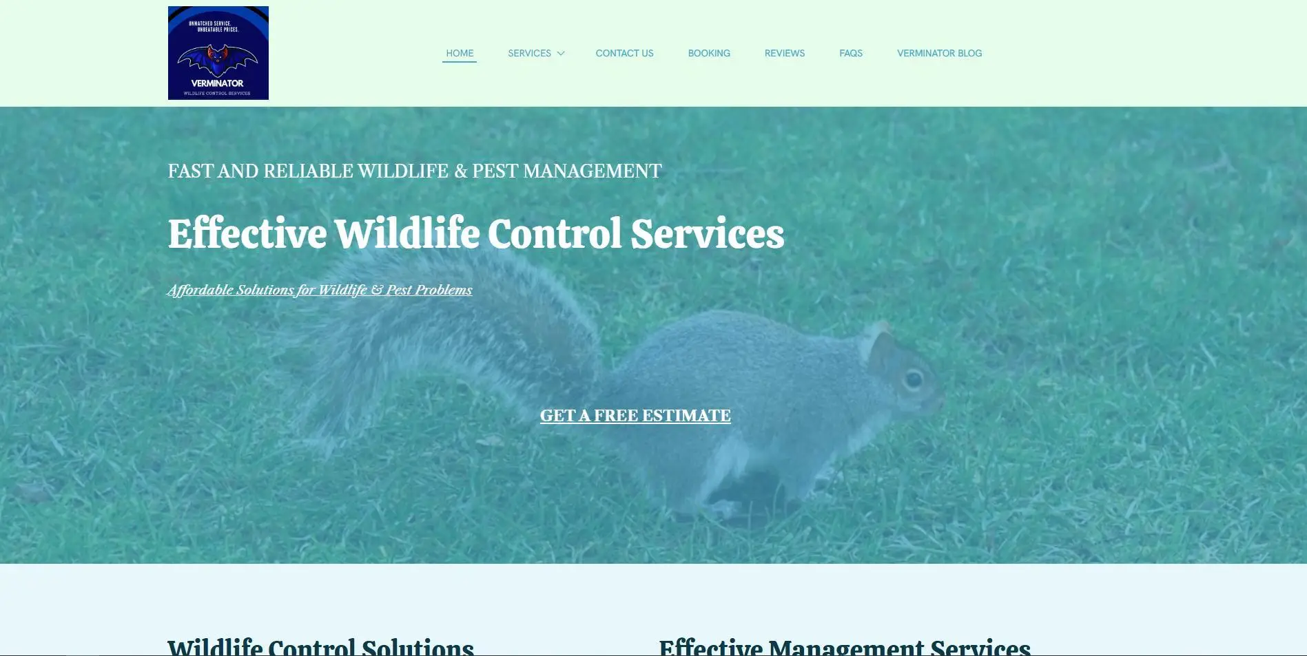 Squirrel standing on grassy field in daylight background