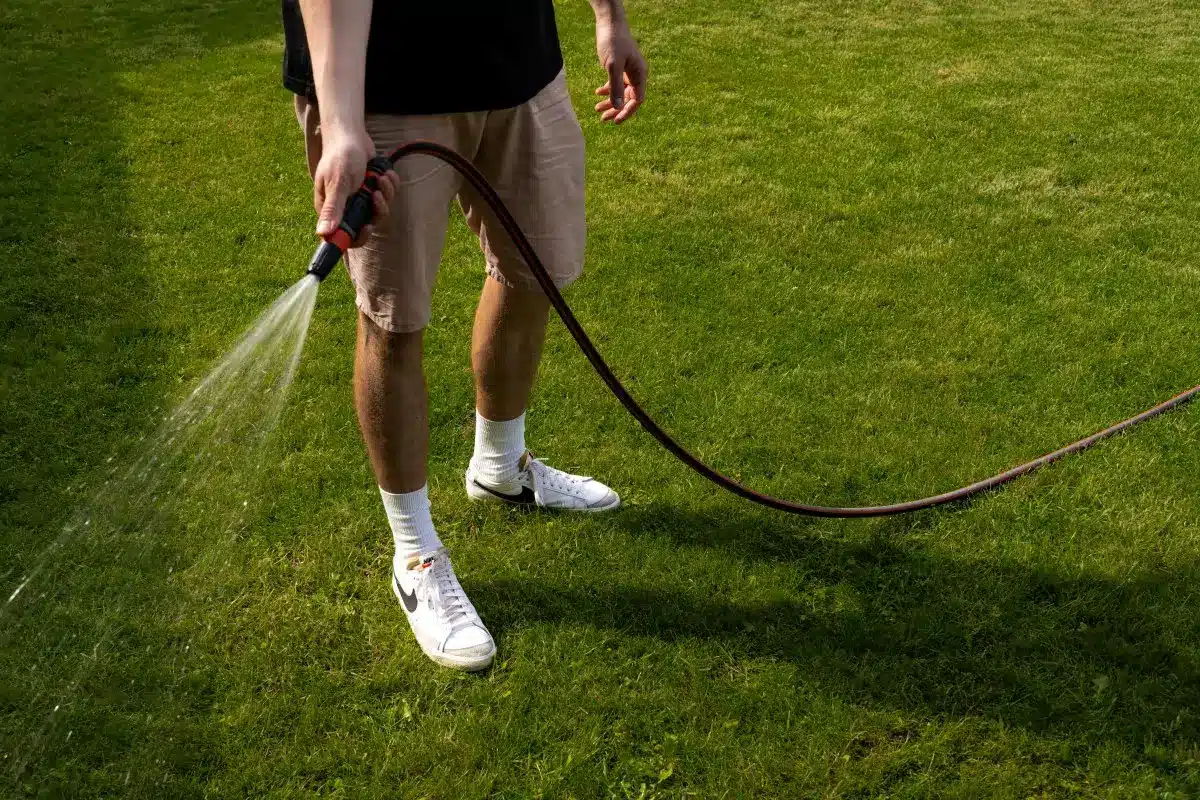 Person watering green lawn with garden hose in sunlight