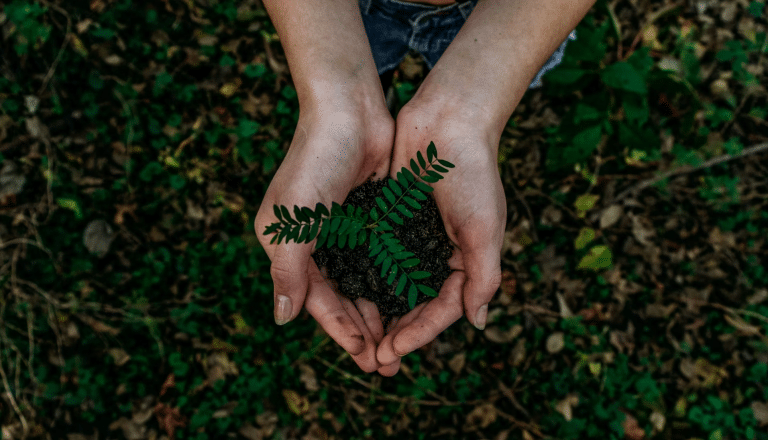 How​‍​‌‍​‍‌​‍​‌‍​‍‌ Games Can Go Green