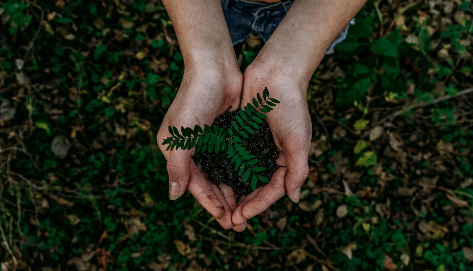 How​‍​‌‍​‍‌​‍​‌‍​‍‌ Games Can Go Green