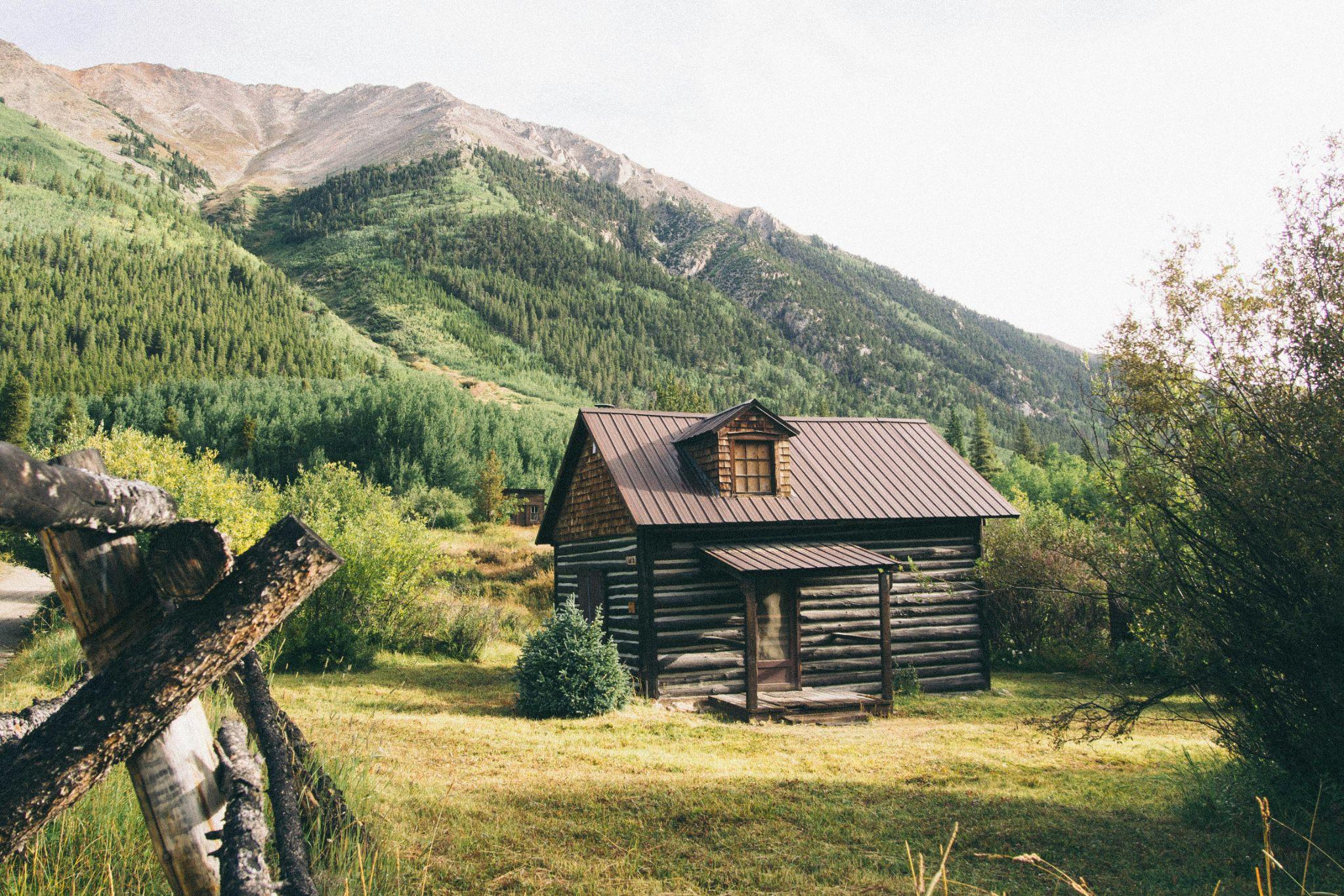 How Smart Log Home Construction Helps Prevent Pest Problems