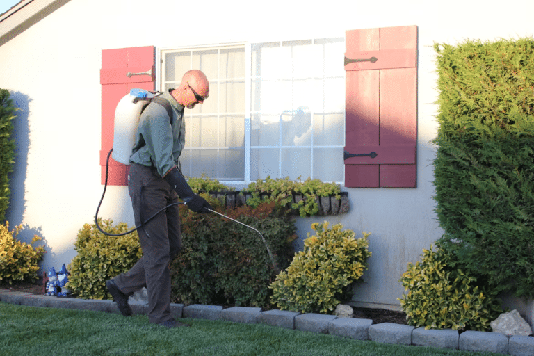 Entry Points Most Homeowners Miss During a Pest-Proofing Walkthrough