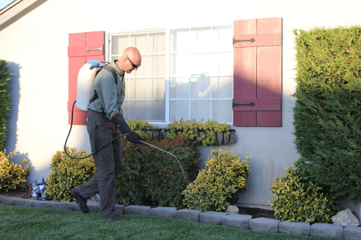 Entry Points Most Homeowners Miss During a Pest-Proofing Walkthrough