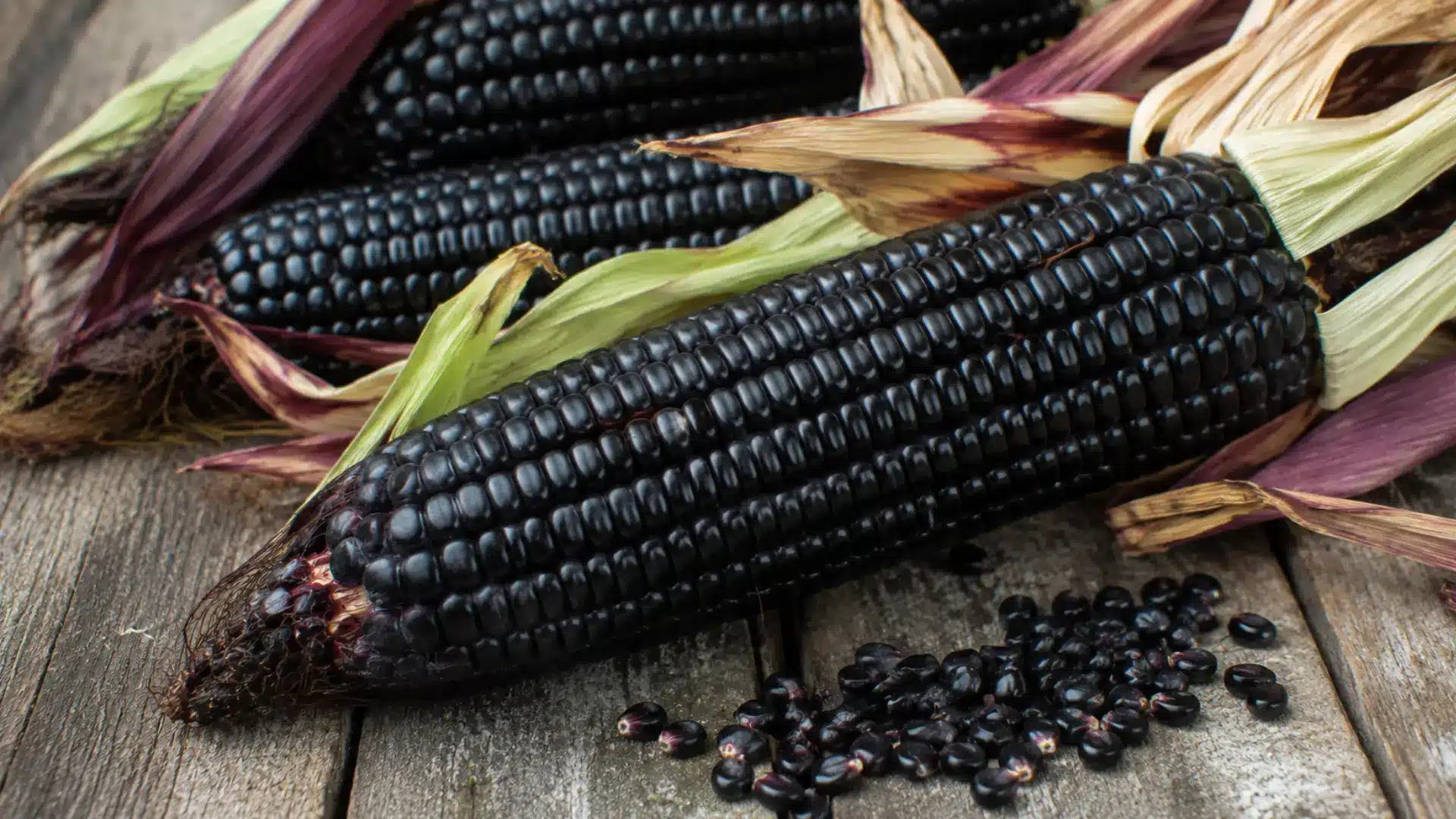 black corn with dark glossy kernels displayed naturally on a rustic wooden tabletop