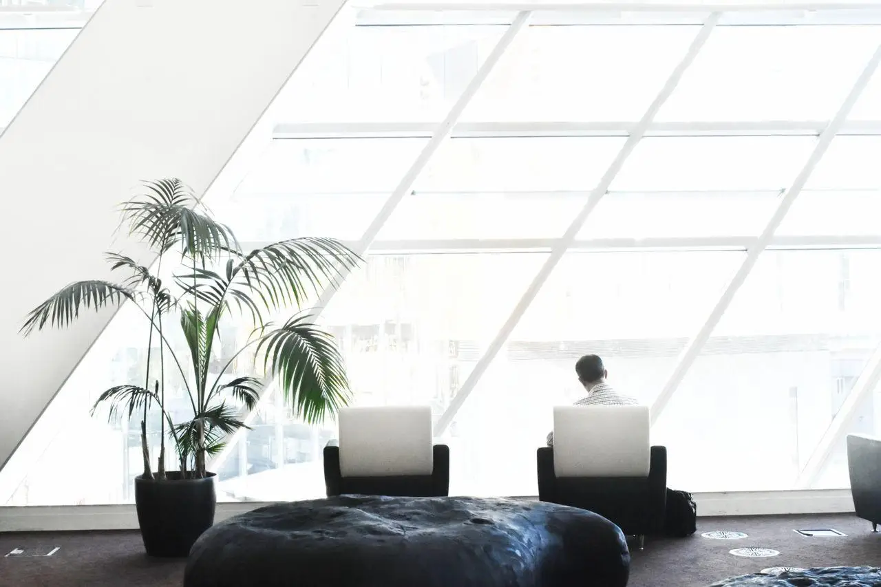 Modern lounge area with large window, potted palm plant, and person sitting in white armchair