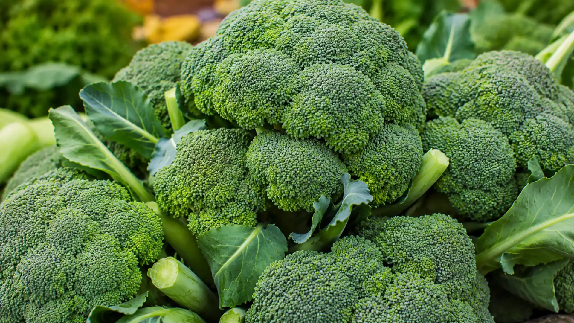 broccoli