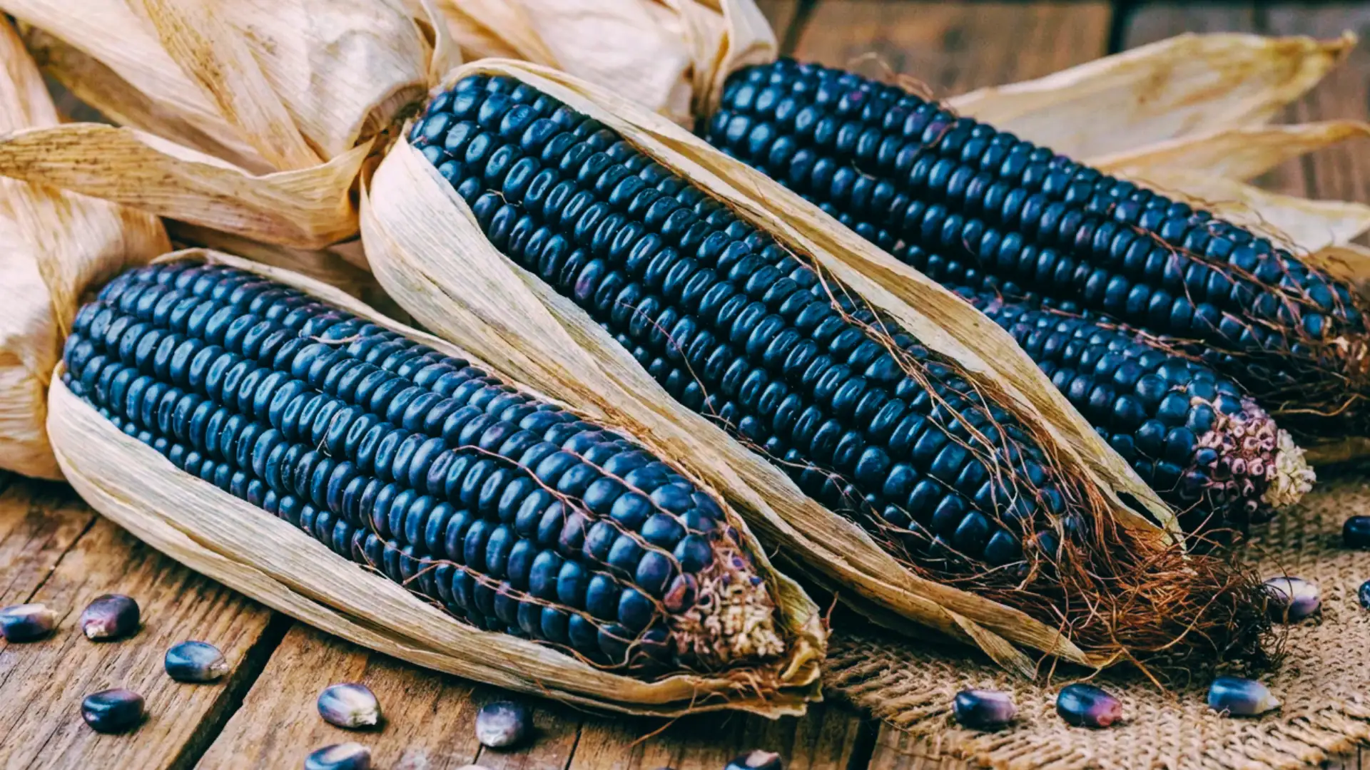 deep blue corn ears with loose blue kernels arranged naturally on a wooden tabletop