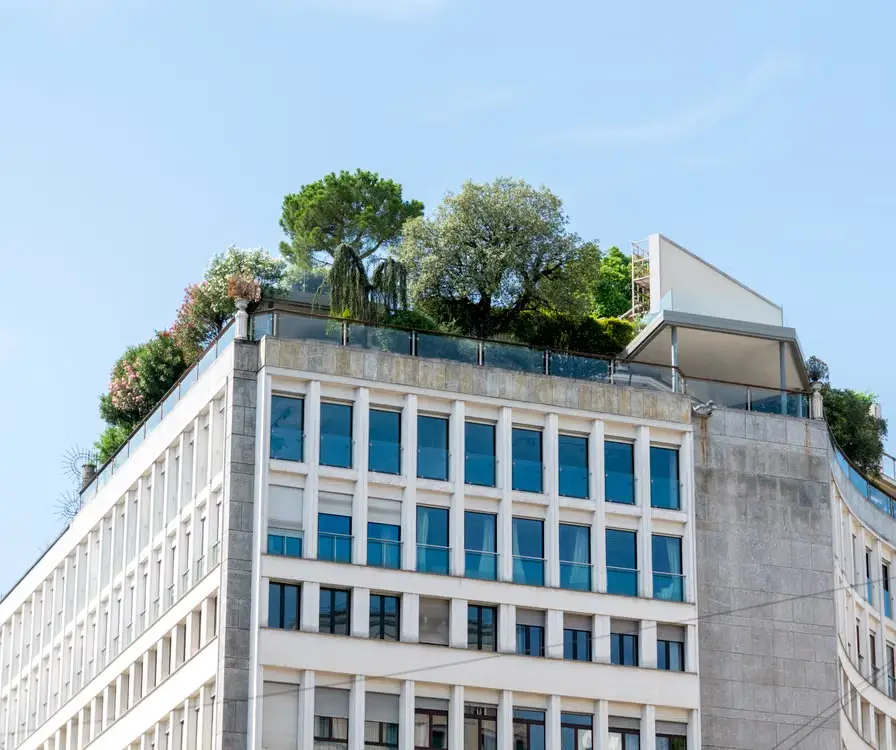 Building with rooftop garden featuring lush trees and shrubs under clear blue sky