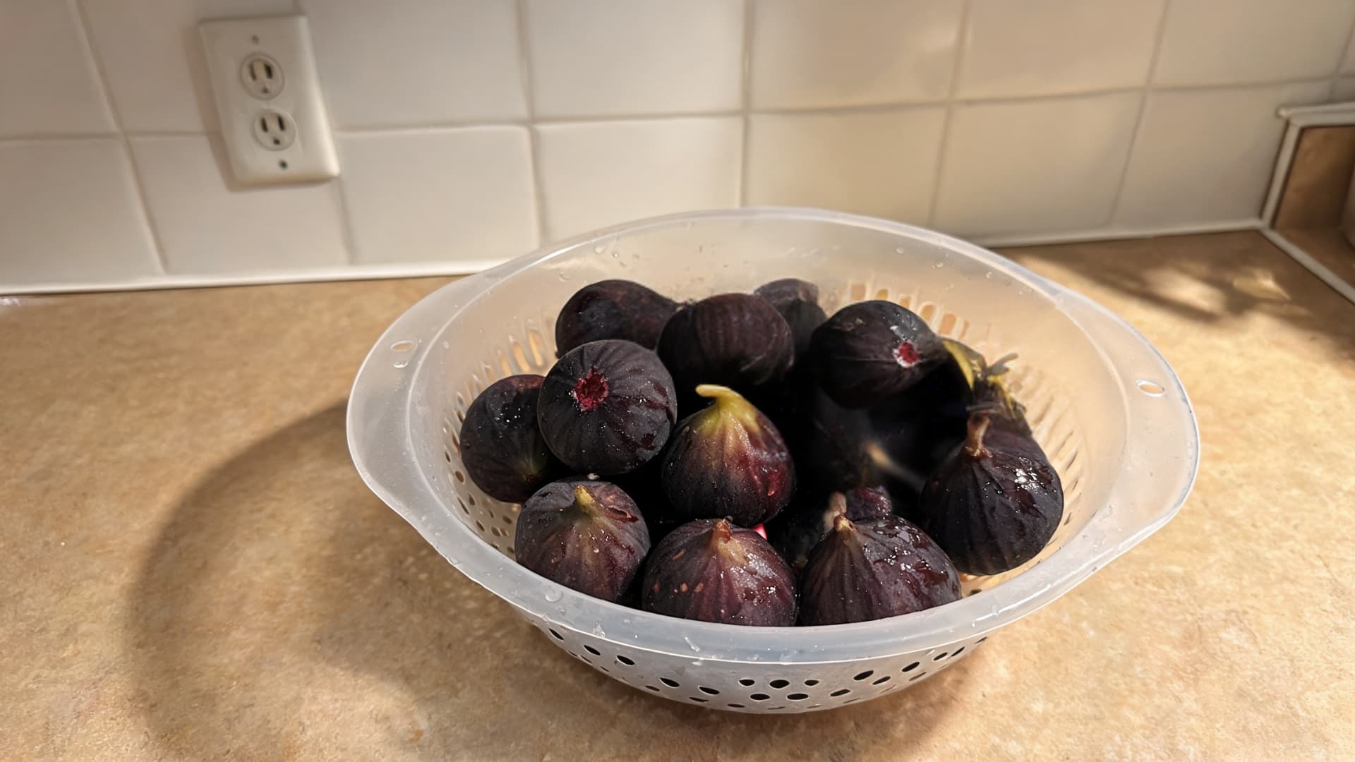 freshly picked black mission figs sitting together in a plastic colander on kitchen counter