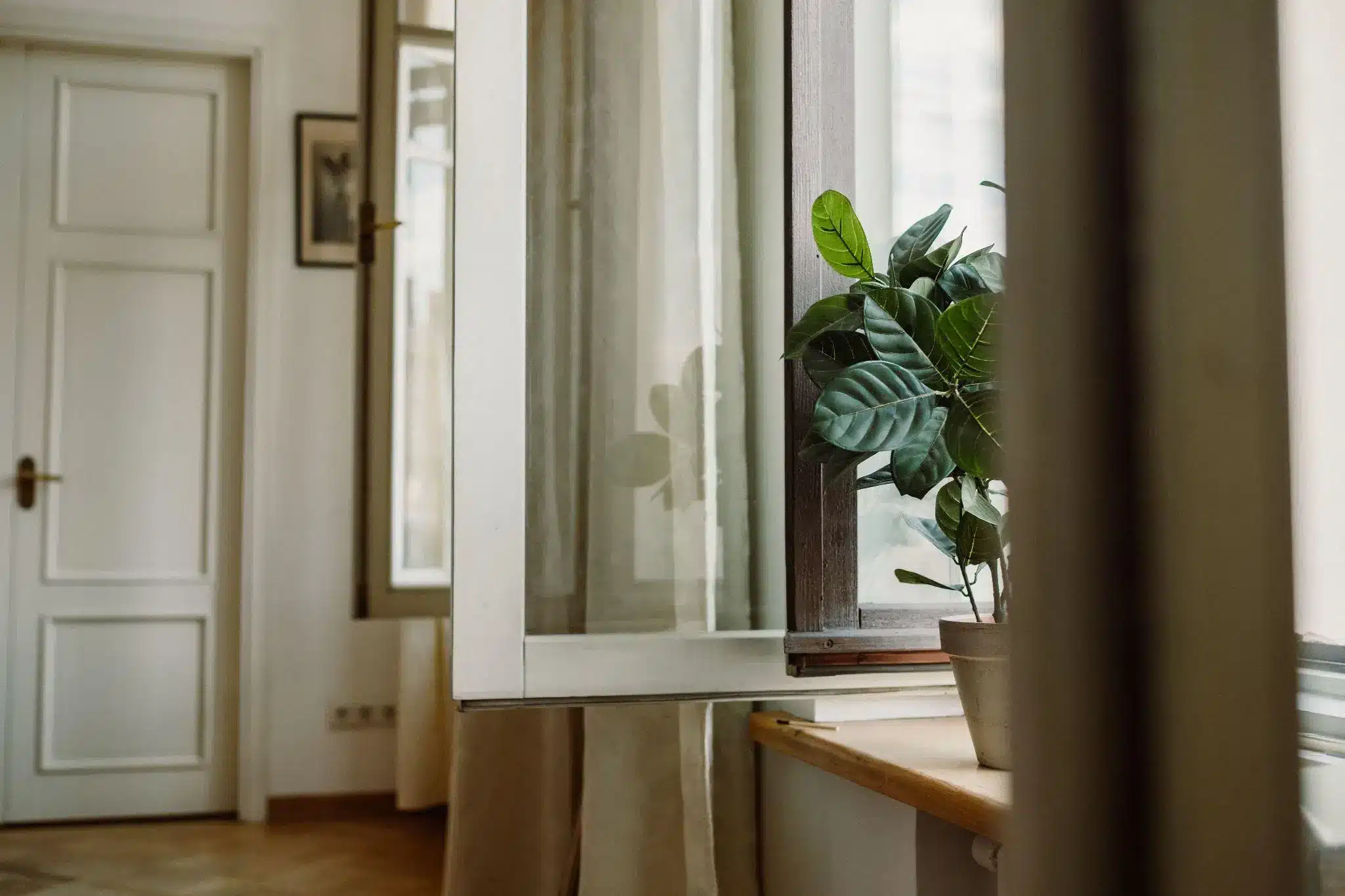Open window with green potted plant on wooden sill in bright room