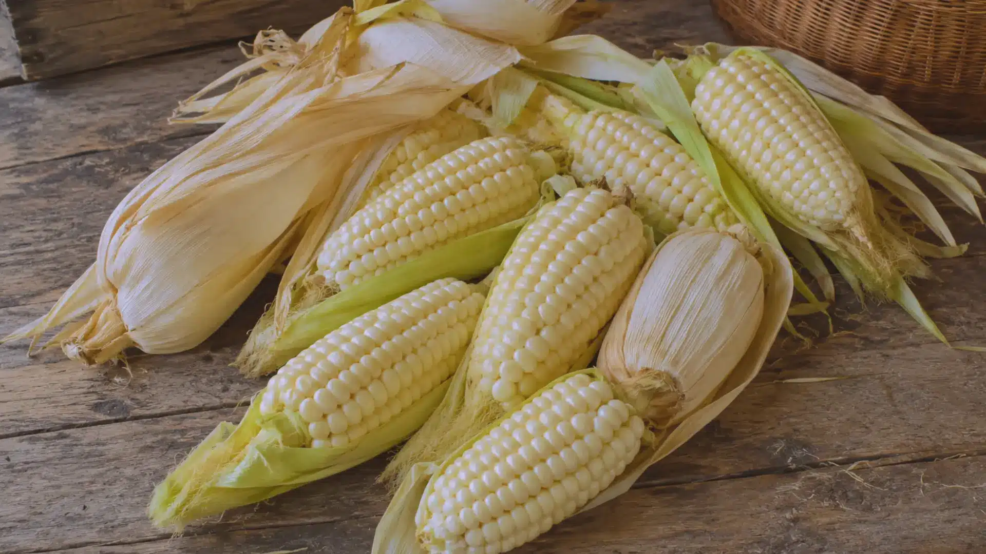 peruvian giant corn with oversized white kernels displayed beside loose kernels on wood