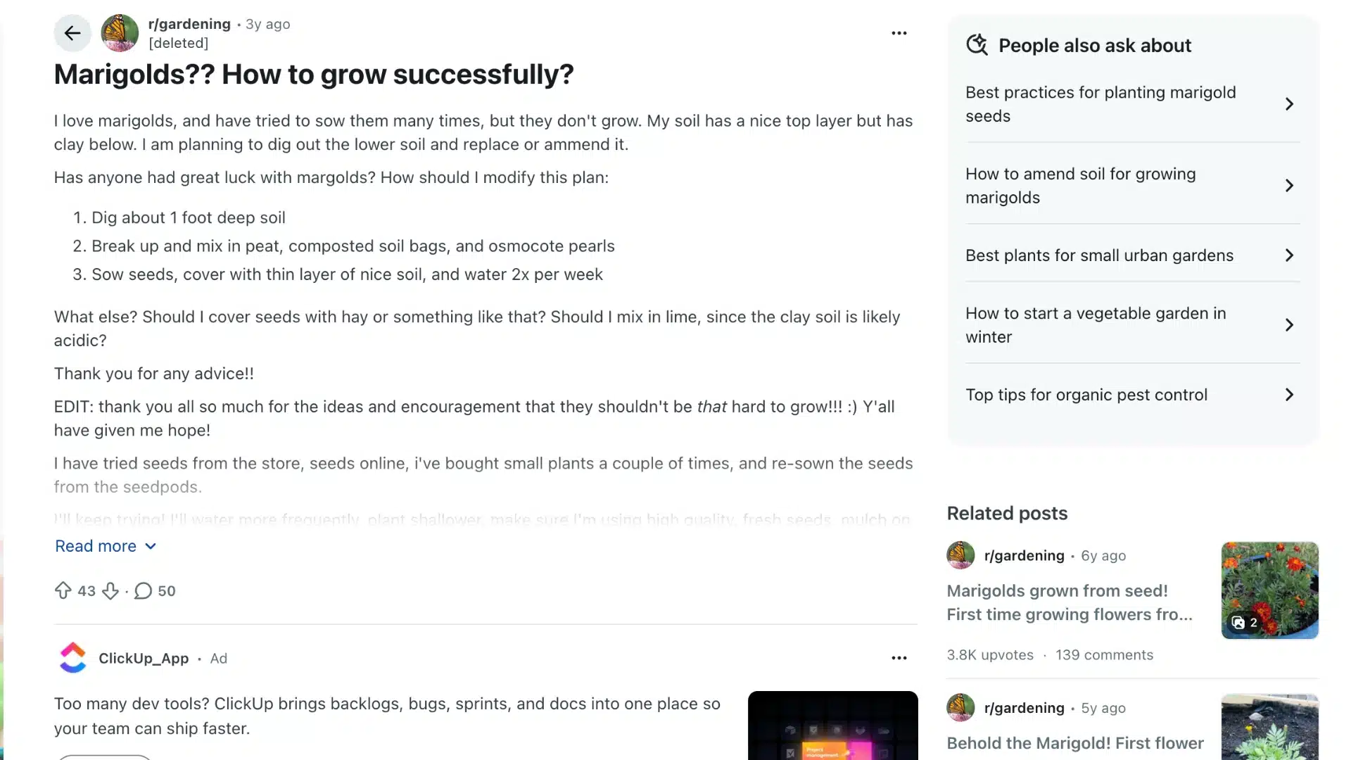 reddit gardening post titled marigolds? how to grow successfully? asks how to improve clay soil and grow marigolds