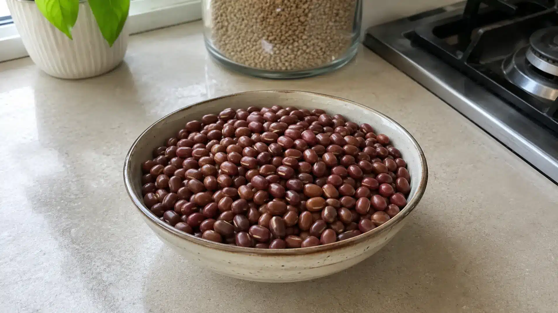 dry small red adzuki beans in a ceramic bowl on a wooden kitchen counter