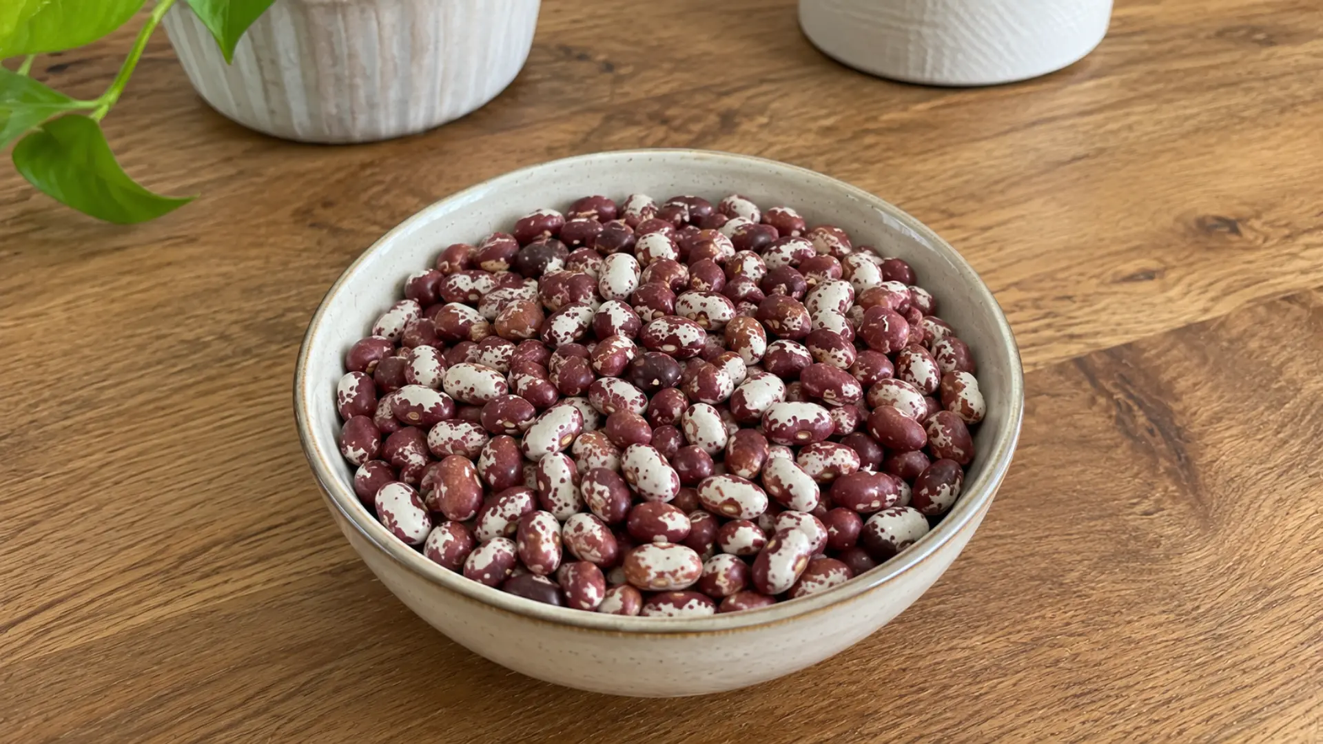 dry maroon and white mottled Anasazi beans in a ceramic bowl on a kitchen table