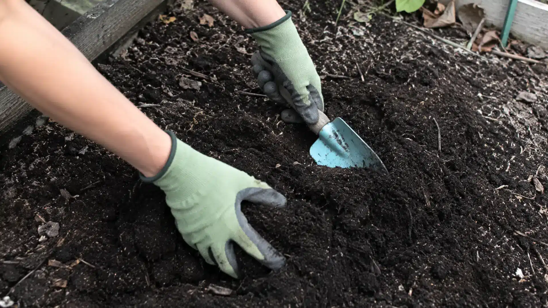 gloved hands mixing compost into dark garden soil with trowel