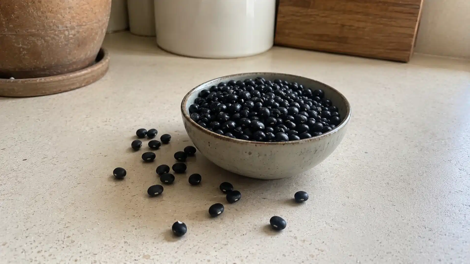 dry black beans in a kept in a white bowl on a sunlit kitchen counter