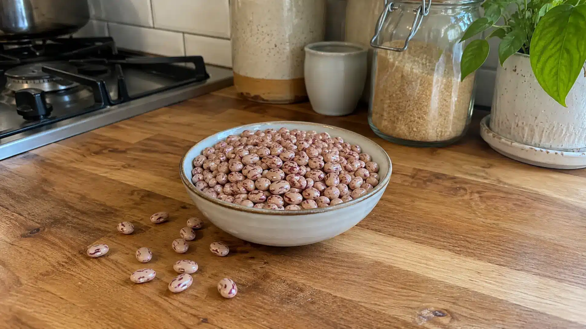 dry red-speckled cranberry beans (borlotti) in a ceramic white bowl