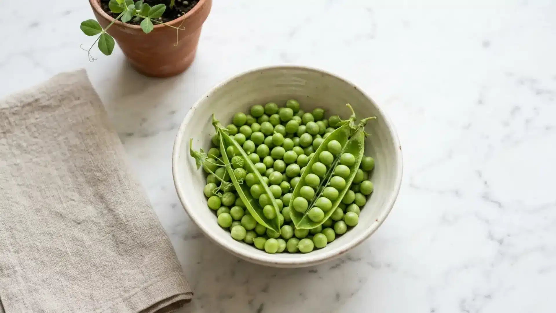 fresh english garden peas in a bowl with a couple of pods split open showing round green peas