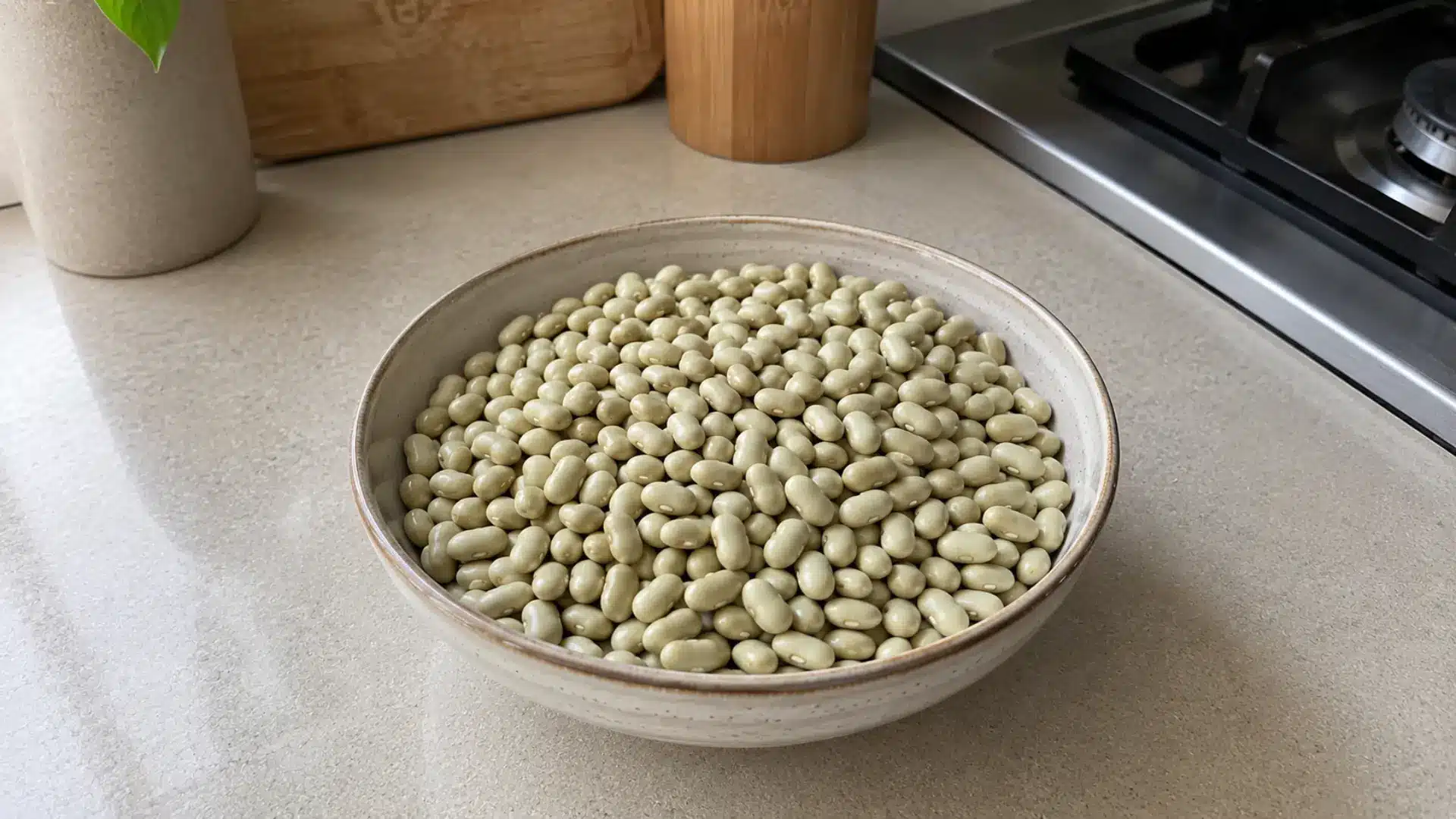 dry pale green flageolet (fayot) beans in a ceramic bowl kept on a kitchen counter