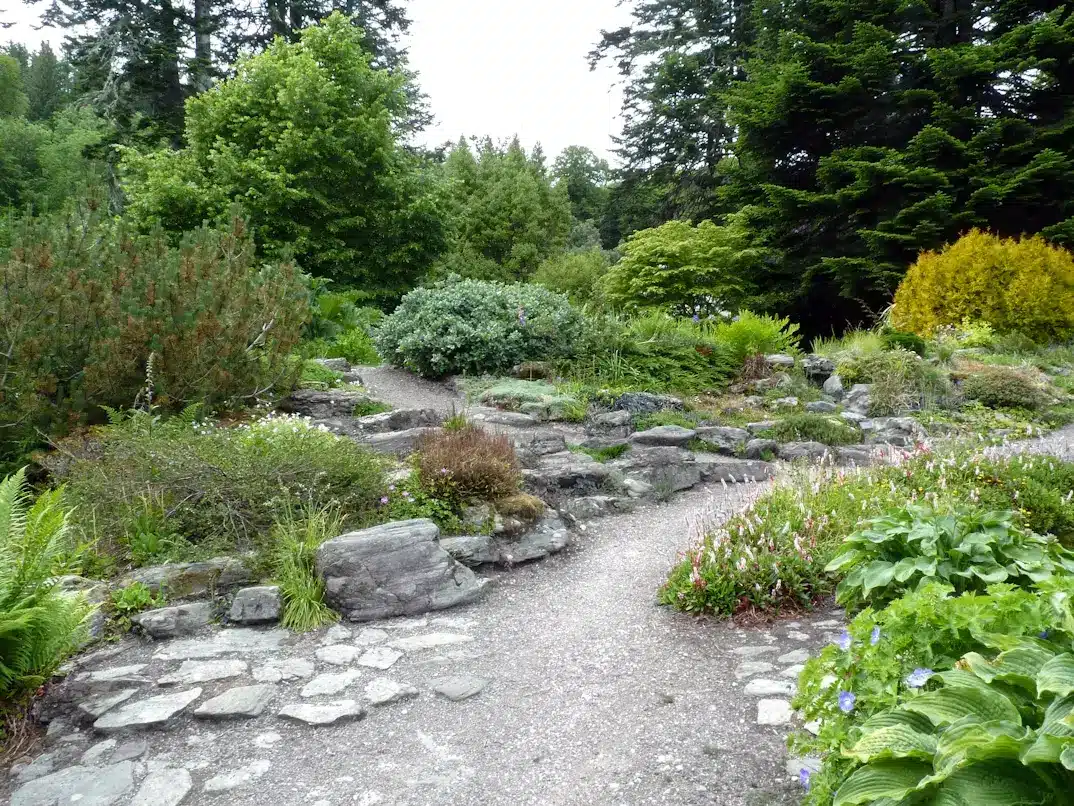 Lush botanical garden with winding stone path and diverse green foliage in a natural setting