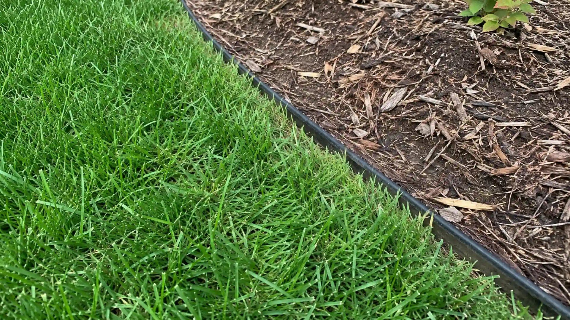healthy green lawn bordered by clean black landscape edging and a natural mulched garden bed