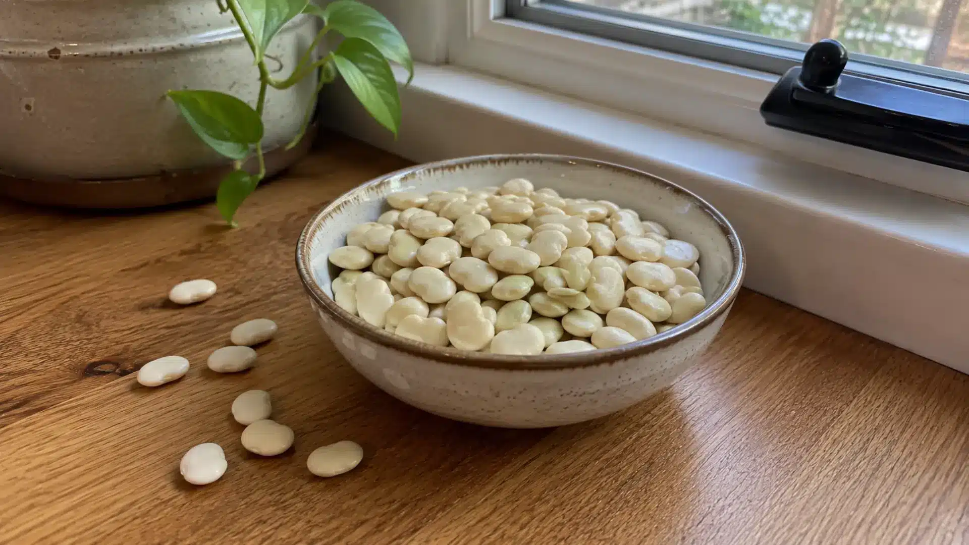 dry flat cream-colored lima beans in a bowl, kept on a kitchen countertop by a window