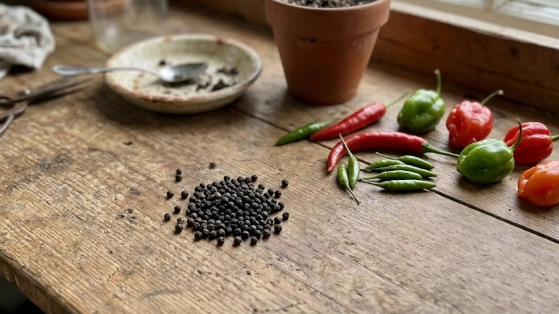 pepper seeds spread beside a halved dried pepper pod on a kitchen countertop near a cutting board